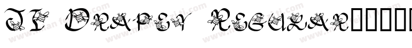 JI Drapey Regular字体转换